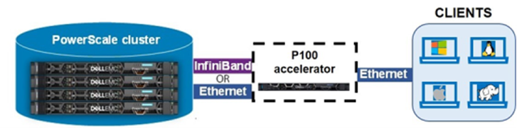 PowerScale P100性能加速器連接